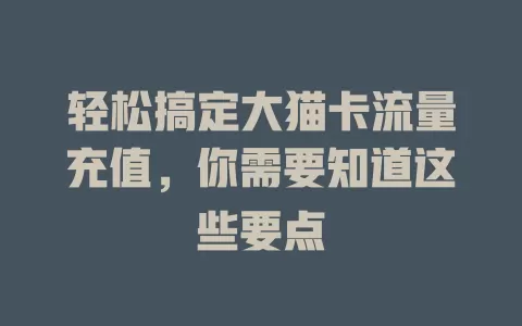 轻松搞定大猫卡流量充值，你需要知道这些要点