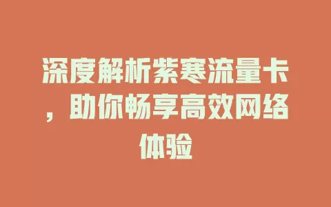 深度解析紫寒流量卡，助你畅享高效网络体验