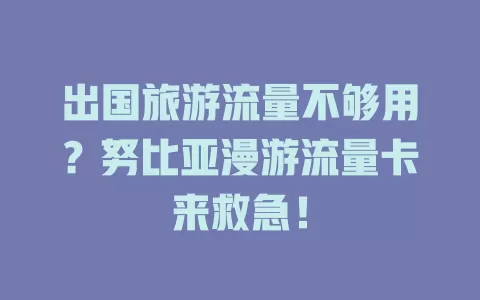 出国旅游流量不够用？努比亚漫游流量卡来救急！