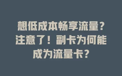 想低成本畅享流量？注意了！副卡为何能成为流量卡？