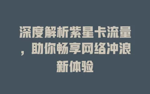 深度解析紫星卡流量，助你畅享网络冲浪新体验