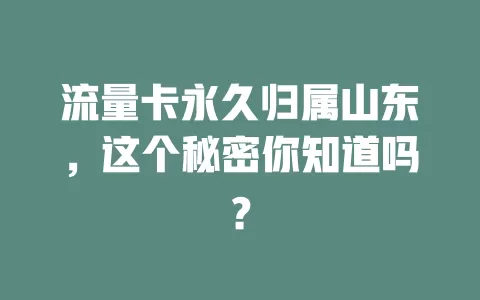 流量卡永久归属山东，这个秘密你知道吗？
