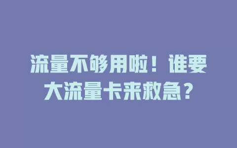 流量不够用啦！谁要大流量卡来救急？