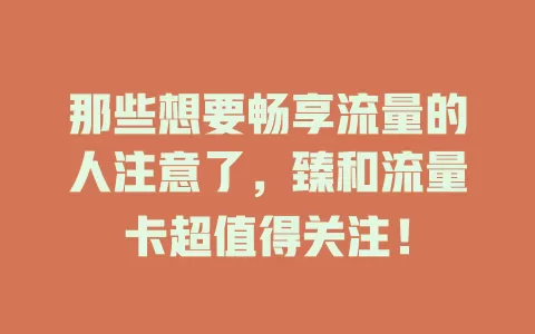 那些想要畅享流量的人注意了，臻和流量卡超值得关注！