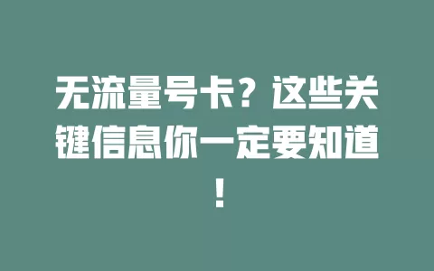 无流量号卡？这些关键信息你一定要知道！