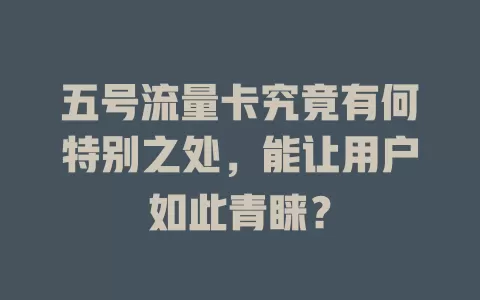 五号流量卡究竟有何特别之处，能让用户如此青睐？
