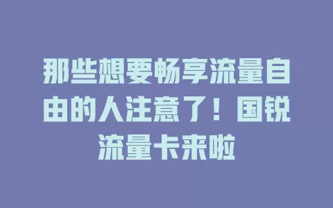 那些想要畅享流量自由的人注意了！国锐流量卡来啦