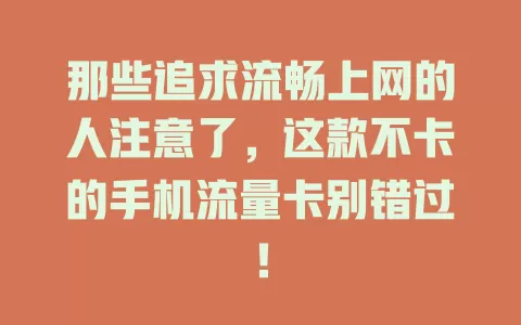 那些追求流畅上网的人注意了，这款不卡的手机流量卡别错过！