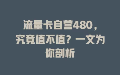 流量卡自营480，究竟值不值？一文为你剖析