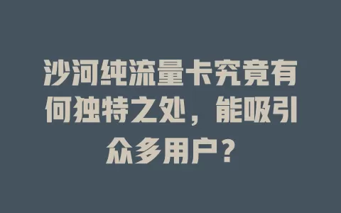 沙河纯流量卡究竟有何独特之处，能吸引众多用户？