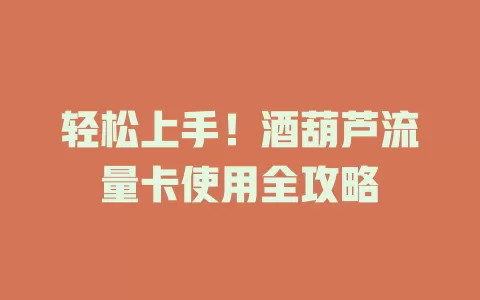 轻松上手！酒葫芦流量卡使用全攻略