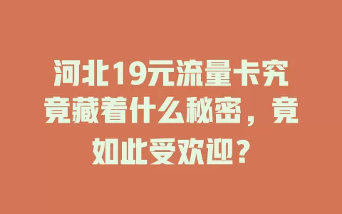 河北19元流量卡究竟藏着什么秘密，竟如此受欢迎？