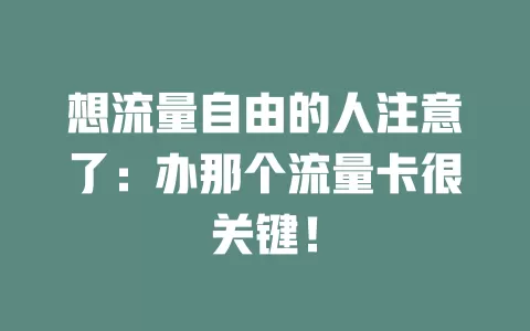 想流量自由的人注意了：办那个流量卡很关键！