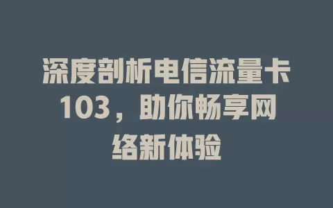 深度剖析电信流量卡103，助你畅享网络新体验