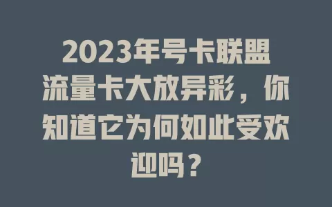 2023年号卡联盟流量卡大放异彩，你知道它为何如此受欢迎吗？