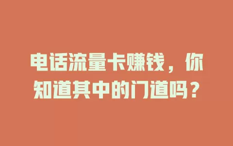 电话流量卡赚钱，你知道其中的门道吗？