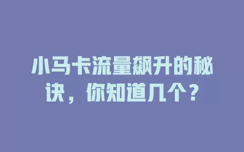 小马卡流量飙升的秘诀，你知道几个？
