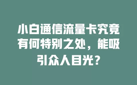 小白通信流量卡究竟有何特别之处，能吸引众人目光？