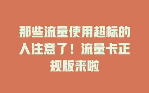 那些流量使用超标的人注意了！流量卡正规版来啦