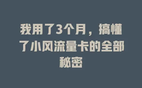 我用了3个月，搞懂了小风流量卡的全部秘密