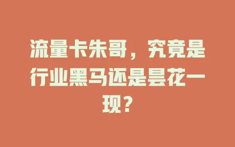 流量卡朱哥，究竟是行业黑马还是昙花一现？