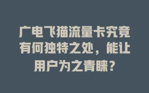 广电飞猫流量卡究竟有何独特之处，能让用户为之青睐？