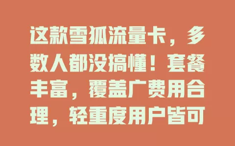 这款雪狐流量卡，多数人都没搞懂！套餐丰富，覆盖广费用合理，轻重度用户皆可选，还不快来看看？