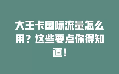 大王卡国际流量怎么用？这些要点你得知道！