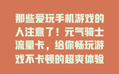 那些爱玩手机游戏的人注意了！元气骑士流量卡，给你畅玩游戏不卡顿的超爽体验！