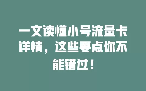 一文读懂小号流量卡详情，这些要点你不能错过！