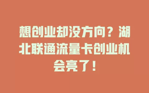 想创业却没方向？湖北联通流量卡创业机会亮了！