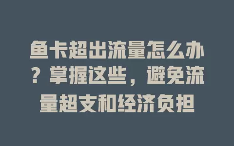 鱼卡超出流量怎么办？掌握这些，避免流量超支和经济负担
