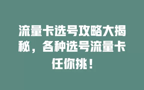 流量卡选号攻略大揭秘，各种选号流量卡任你挑！