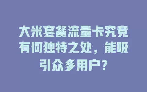 大米套餐流量卡究竟有何独特之处，能吸引众多用户？