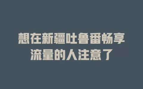想在新疆吐鲁番畅享流量的人注意了