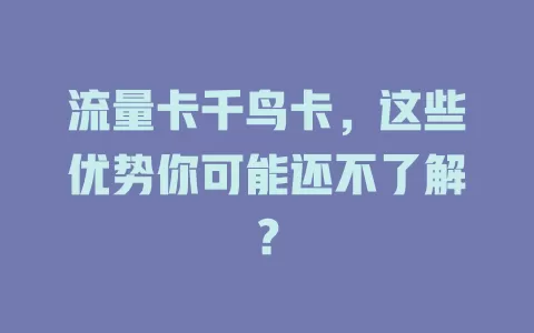 流量卡千鸟卡，这些优势你可能还不了解？