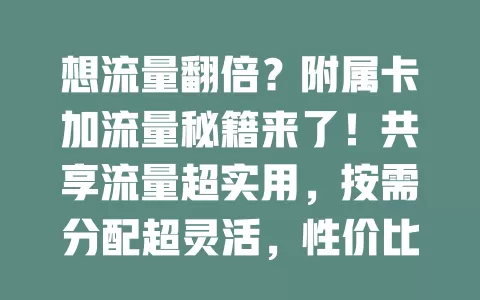 想流量翻倍？附属卡加流量秘籍来了！共享流量超实用，按需分配超灵活，性价比超高，畅享便捷数字生活