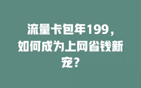 流量卡包年199，如何成为上网省钱新宠？