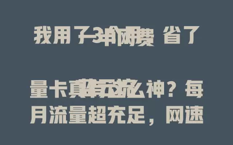 我用了3个月，省了一半网费

蓝云流量卡真有这么神？每月流量超充足，网速超快超稳定，费用还低，真的是上网必备神器！用了它之后，我每个月网费都省了一半，太划算了！