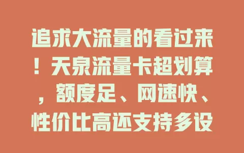 追求大流量的看过来！天泉流量卡超划算，额度足、网速快、性价比高还支持多设备