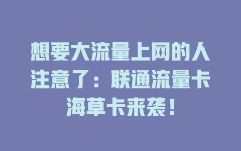 想要大流量上网的人注意了：联通流量卡海草卡来袭！