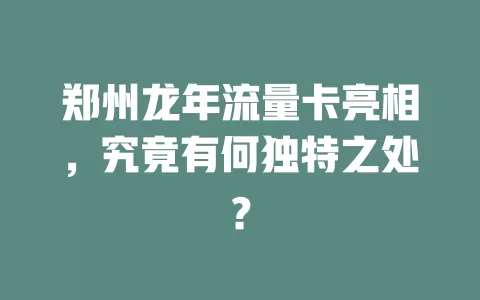 郑州龙年流量卡亮相，究竟有何独特之处？
