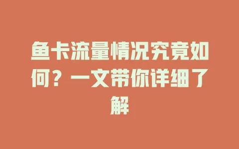 鱼卡流量情况究竟如何？一文带你详细了解