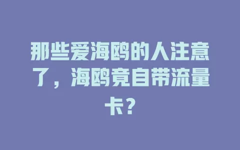 那些爱海鸥的人注意了，海鸥竟自带流量卡？