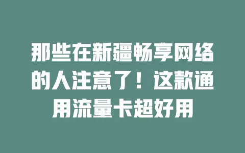 那些在新疆畅享网络的人注意了！这款通用流量卡超好用