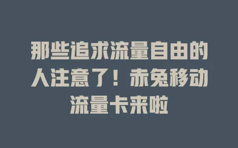 那些追求流量自由的人注意了！赤兔移动流量卡来啦