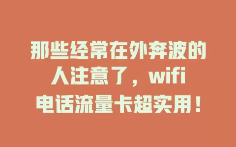 那些经常在外奔波的人注意了，wifi电话流量卡超实用！