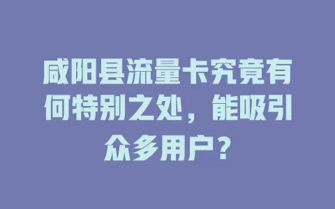 咸阳县流量卡究竟有何特别之处，能吸引众多用户？