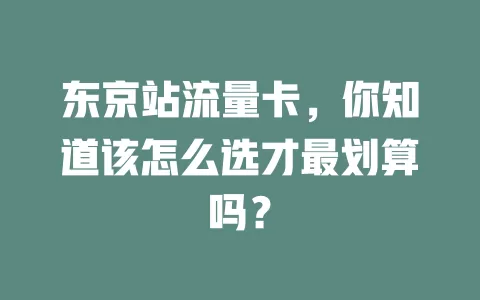 东京站流量卡，你知道该怎么选才最划算吗？