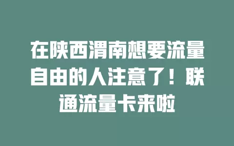 在陕西渭南想要流量自由的人注意了！联通流量卡来啦